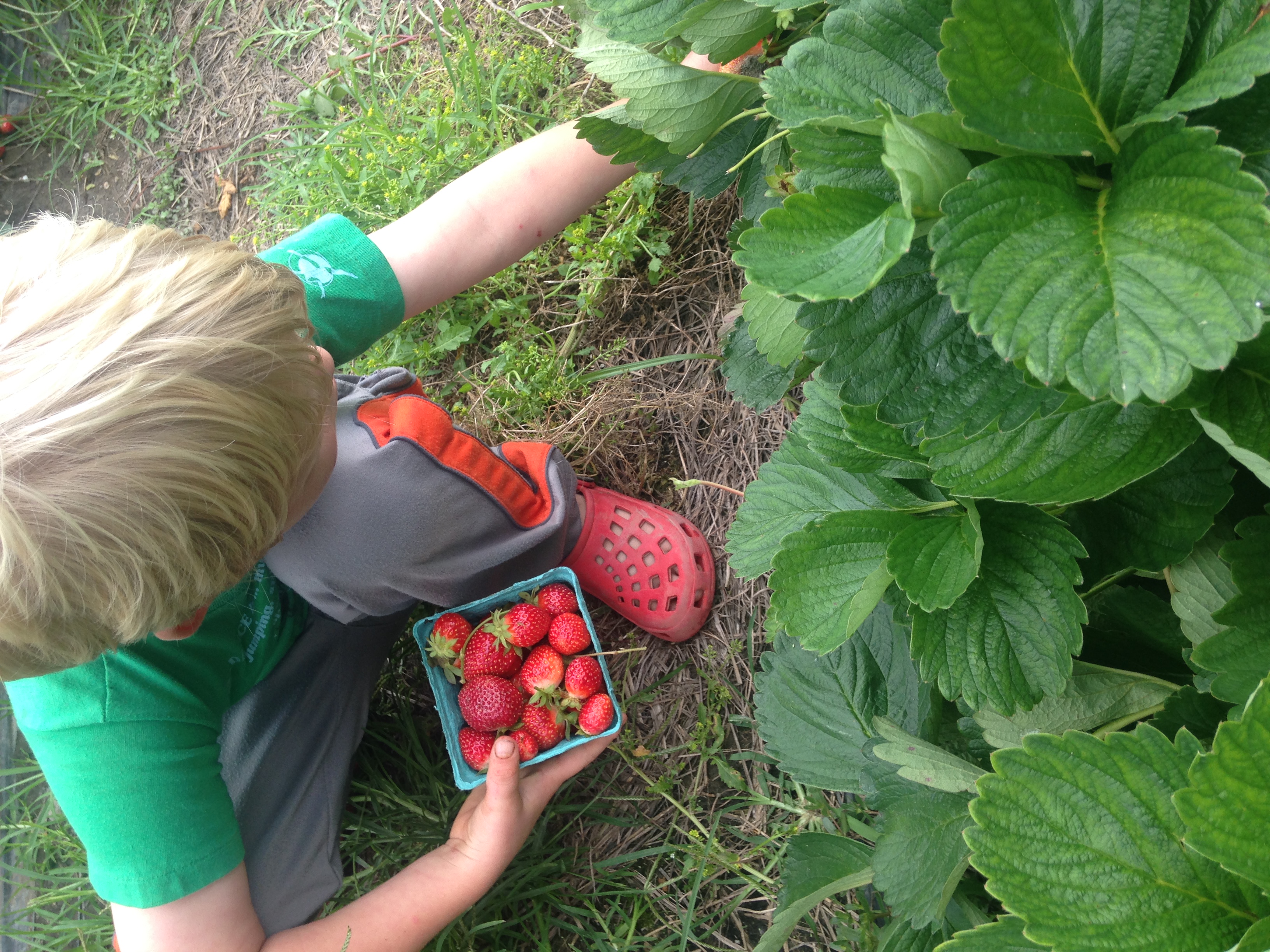 Why Buying Local Matters